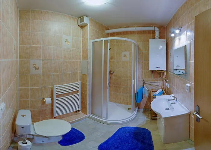 Boruvka Pec pod Sněžkou